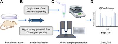 ABPP-HT - High-Throughput Activity-Based Profiling of Deubiquitylating Enzyme Inhibitors in a Cellular Context